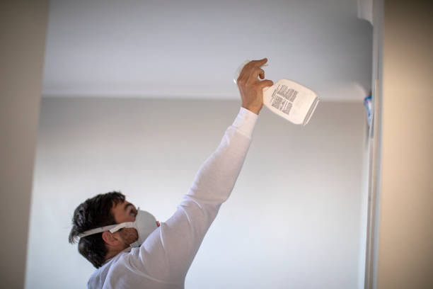 Best Basement Mold Remediation in Knob Noster, MO